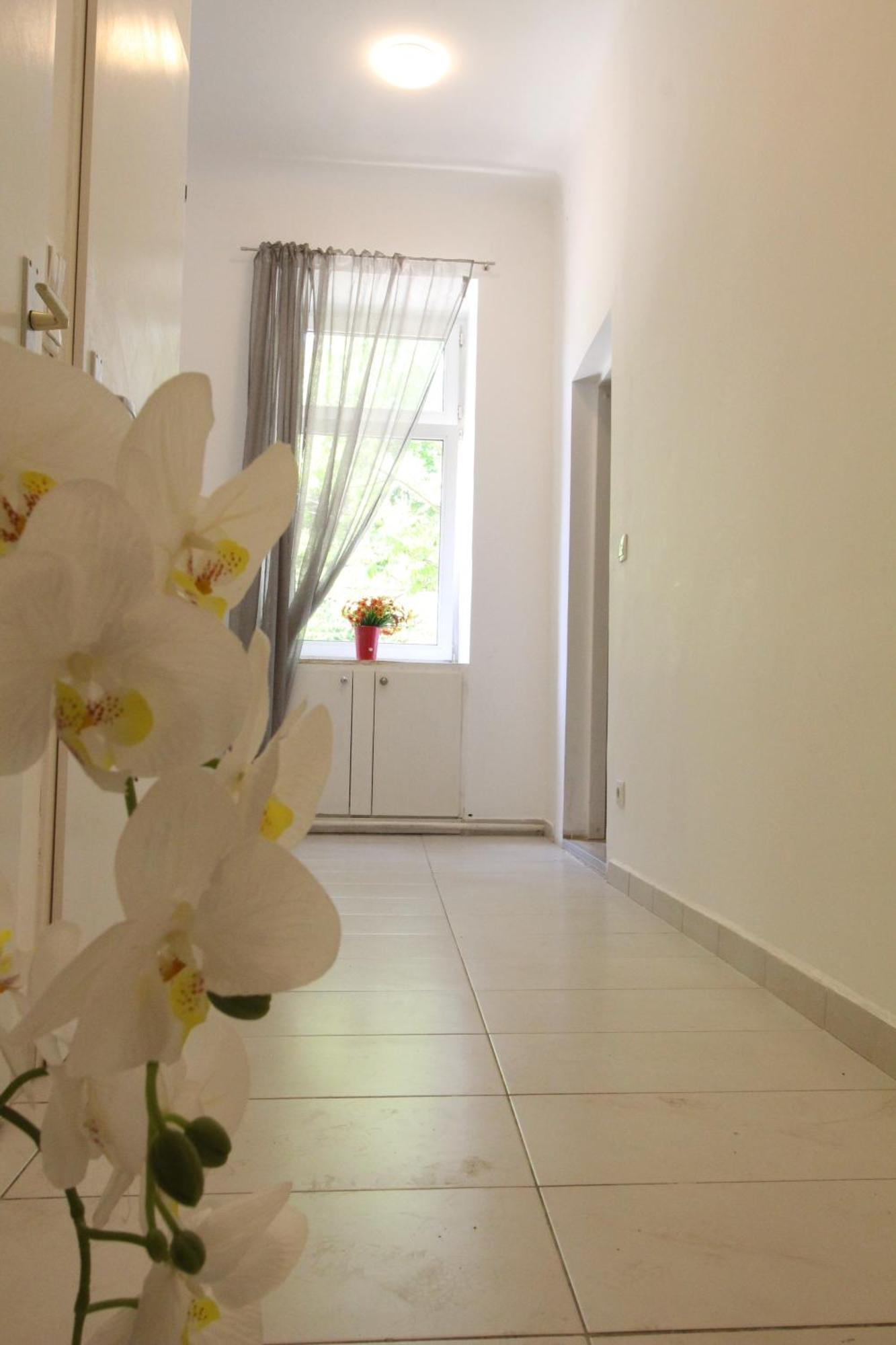 Privatunterkunft Cozy In Pragerstrasse Wien